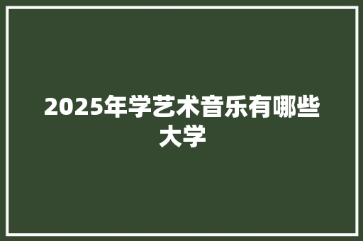 2025年学艺术音乐有哪些大学