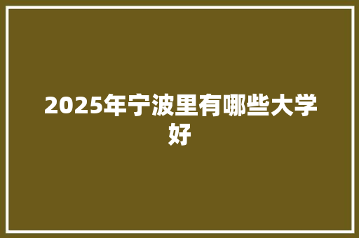 2025年宁波里有哪些大学好