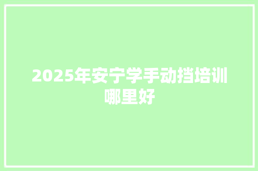 2025年安宁学手动挡培训哪里好