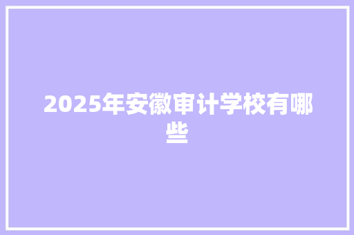 2025年安徽审计学校有哪些