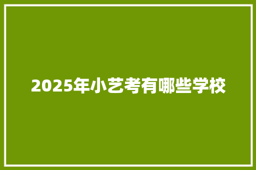 2025年小艺考有哪些学校