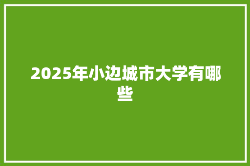 2025年小边城市大学有哪些