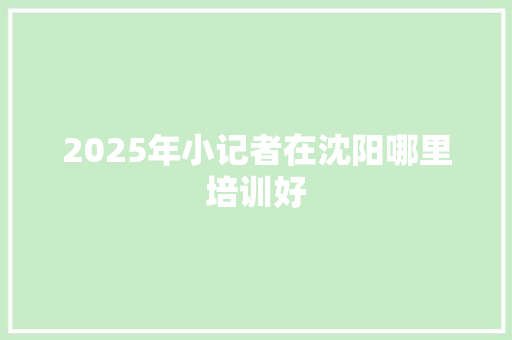 2025年小记者在沈阳哪里培训好 未命名