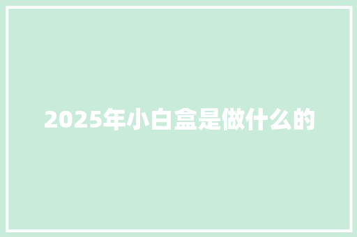 2025年小白盒是做什么的