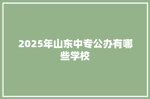 2025年山东中专公办有哪些学校