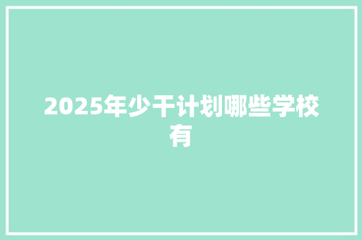 2025年少干计划哪些学校有