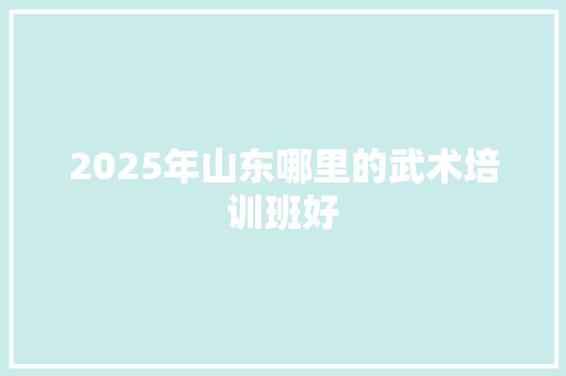 2025年山东哪里的武术培训班好