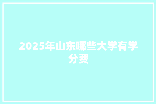 2025年山东哪些大学有学分费