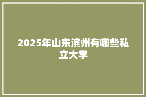 2025年山东滨州有哪些私立大学