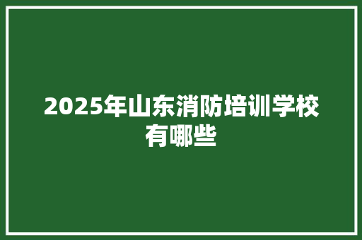 2025年山东消防培训学校有哪些