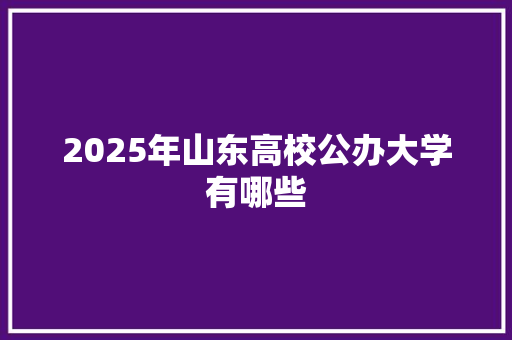 2025年山东高校公办大学有哪些