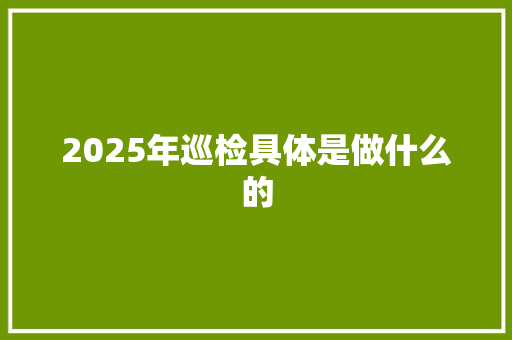 2025年巡检具体是做什么的