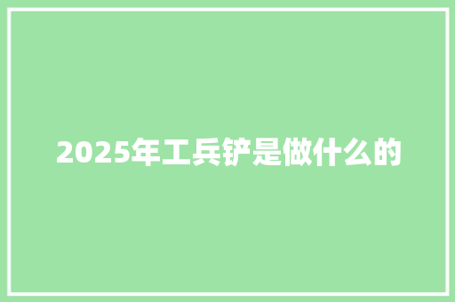 2025年工兵铲是做什么的 未命名