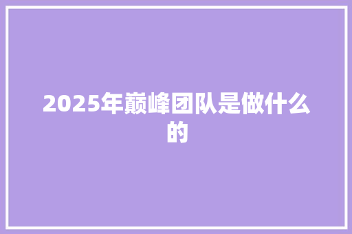 2025年巅峰团队是做什么的 未命名