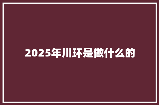 2025年川环是做什么的