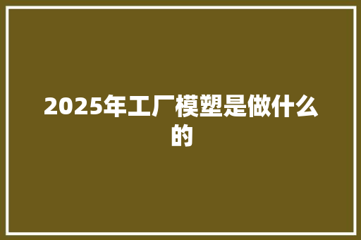 2025年工厂模塑是做什么的