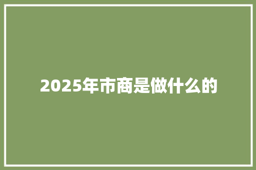 2025年市商是做什么的