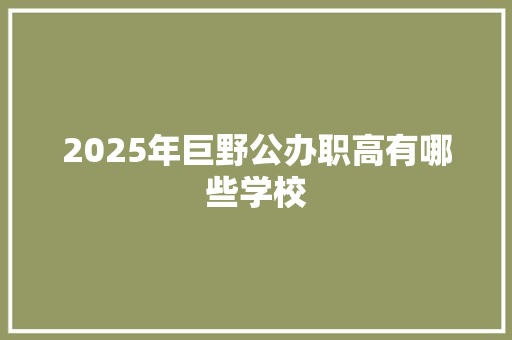 2025年巨野公办职高有哪些学校