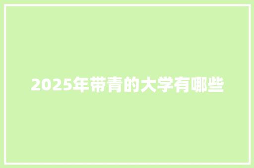 2025年带青的大学有哪些