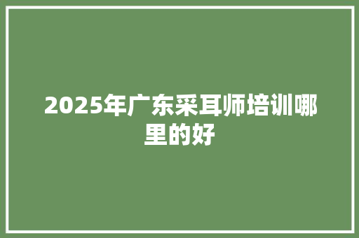 2025年广东采耳师培训哪里的好 未命名