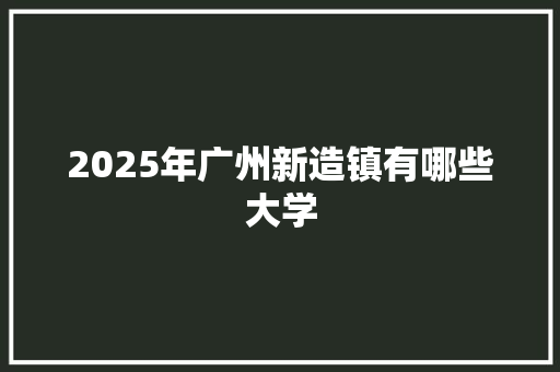 2025年广州新造镇有哪些大学