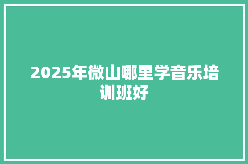 2025年微山哪里学音乐培训班好 未命名