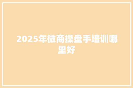 2025年微商操盘手培训哪里好 未命名