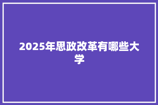 2025年思政改革有哪些大学 未命名