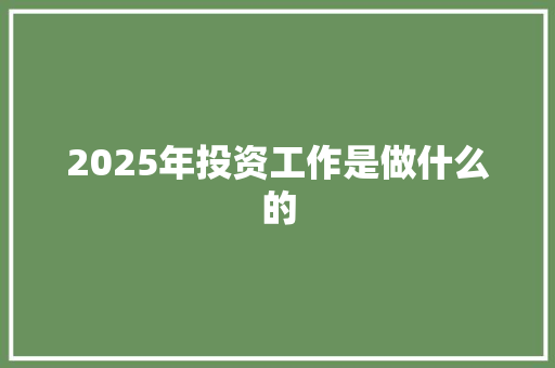 2025年投资工作是做什么的