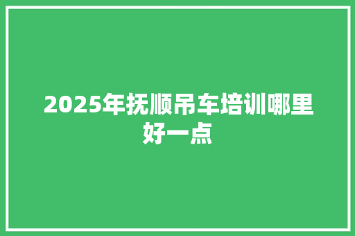 2025年抚顺吊车培训哪里好一点