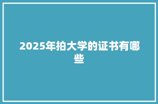 2025年拍大学的证书有哪些