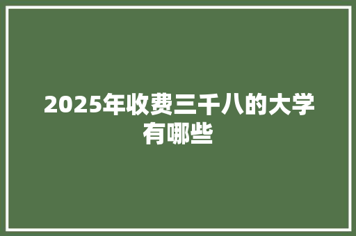 2025年收费三千八的大学有哪些