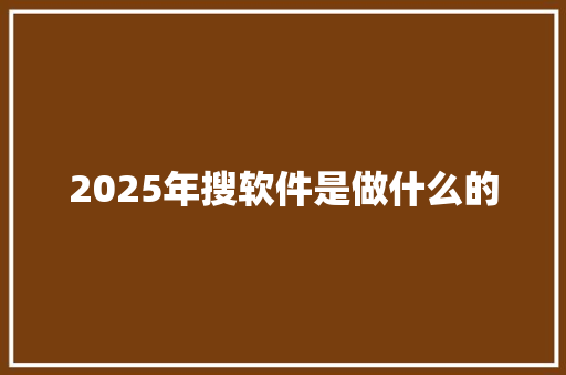 2025年搜软件是做什么的