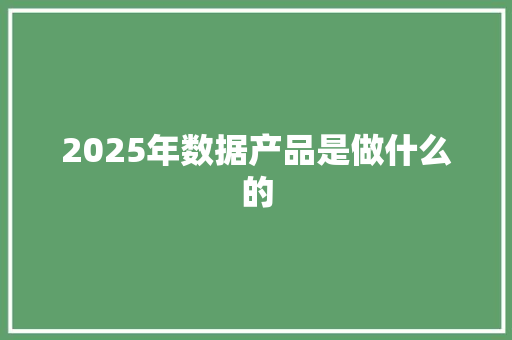 2025年数据产品是做什么的