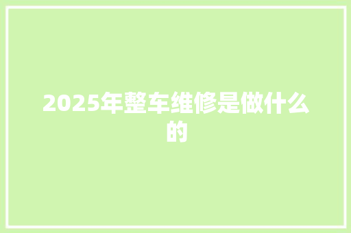 2025年整车维修是做什么的