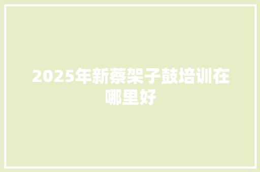 2025年新蔡架子鼓培训在哪里好