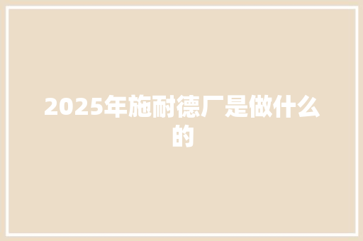 2025年施耐德厂是做什么的