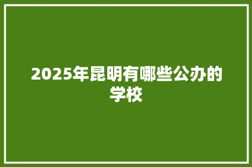 2025年昆明有哪些公办的学校