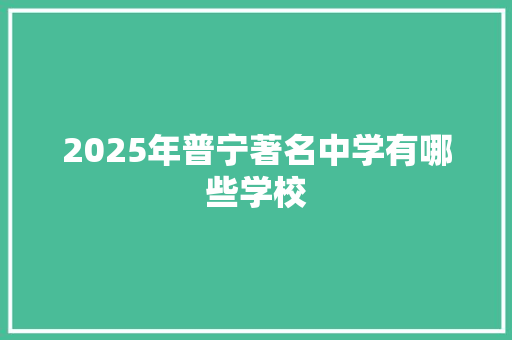 2025年普宁著名中学有哪些学校