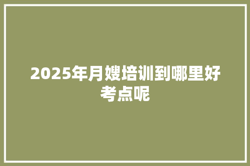 2025年月嫂培训到哪里好考点呢 未命名