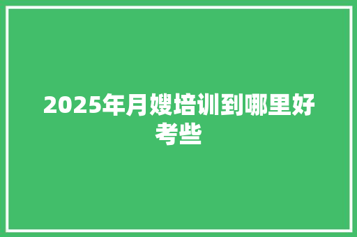 2025年月嫂培训到哪里好考些