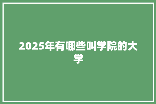 2025年有哪些叫学院的大学