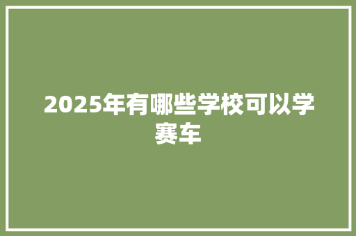 2025年有哪些学校可以学赛车