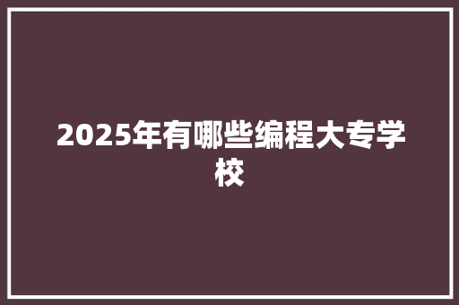 2025年有哪些编程大专学校 未命名