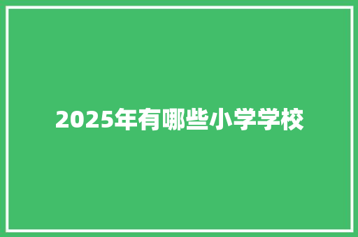 2025年有哪些小学学校