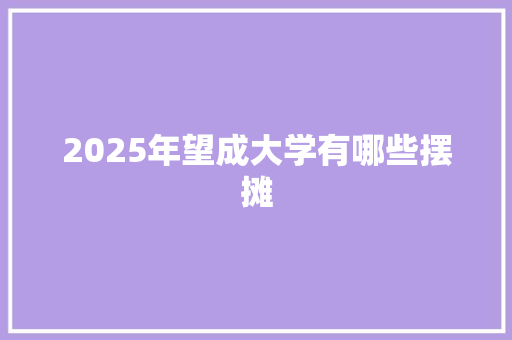 2025年望成大学有哪些摆摊