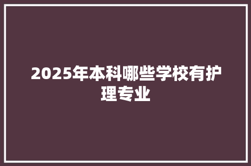 2025年本科哪些学校有护理专业