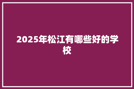 2025年松江有哪些好的学校