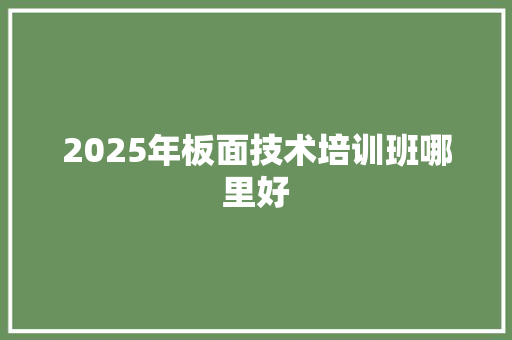 2025年板面技术培训班哪里好