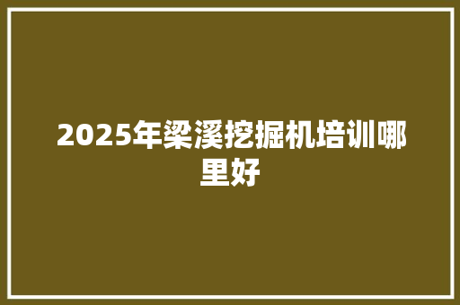 2025年梁溪挖掘机培训哪里好